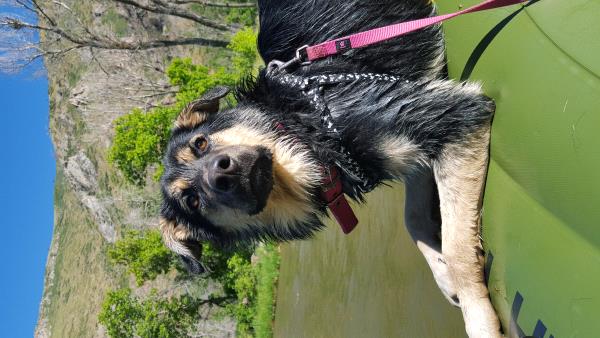 /Images/uploads/Humane Society of Utah/HSUCalendar/entries/890thumb.jpg